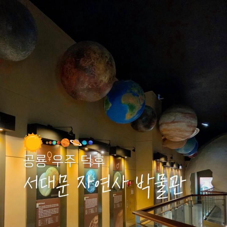 서울 공룡 우주 덕후 아이랑 실내 서대문자연사박물관 주차