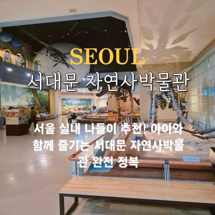 서울실내가볼만한곳 서대문 자연사박물관 공룡 주차