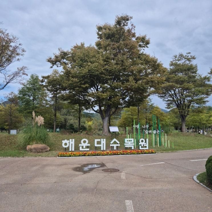 아이와 가족나들이 가을단풍 "해운대 수목원"