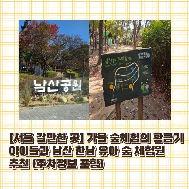 [서울 갈만한 곳] 가을 숲체험의 황금기 아이들과 남산 한남 유아 숲 체험원 추천 (주차정보 포함)