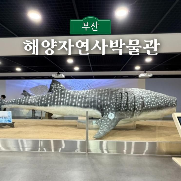 부산 해양자연사박물관 실내 관람 추천 실린이의 모험