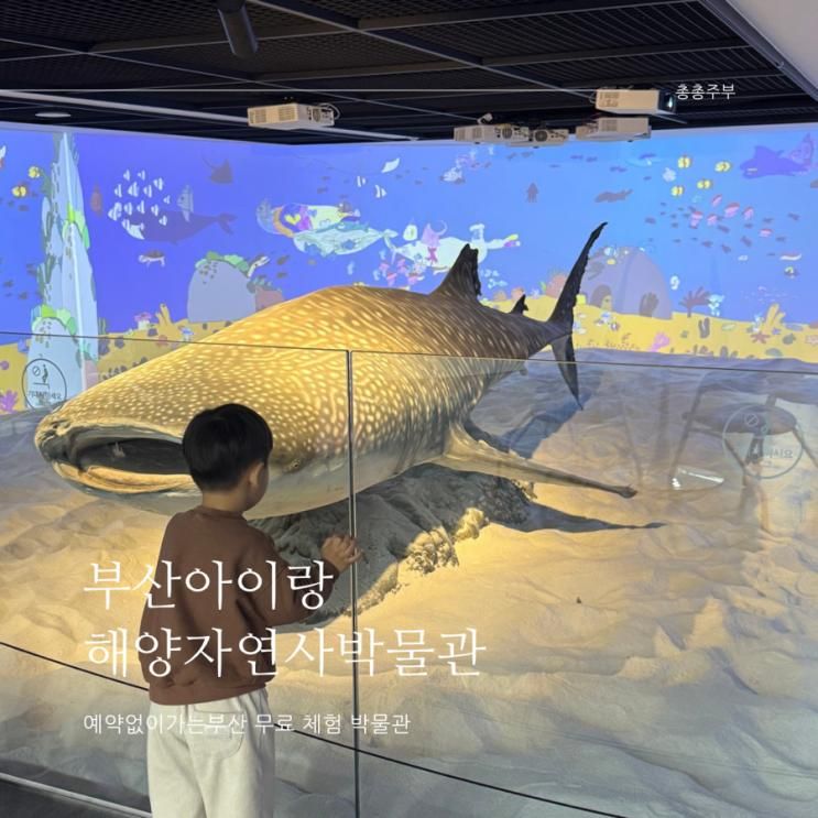 부산 아이랑 해양자연사박물관 예약없이가는 무료체험관