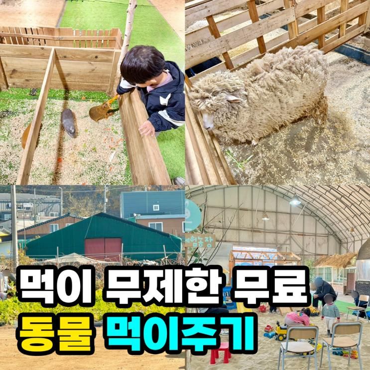 시흥 온동물체험농장 먹이주기 아이 데리고 갈만한곳