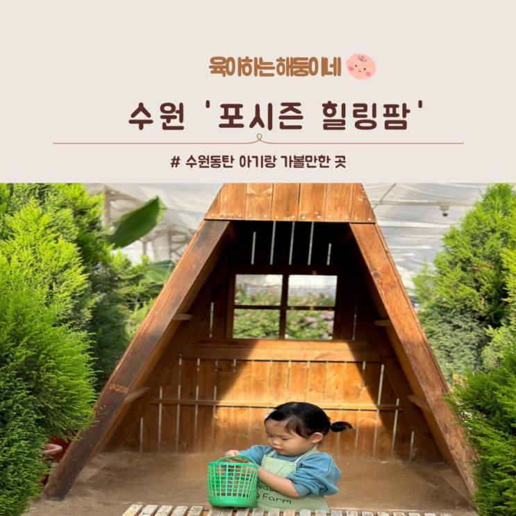 수원 포시즌힐링팜 방문후기  | 수원 동탄 실내 아기랑 가볼만한곳