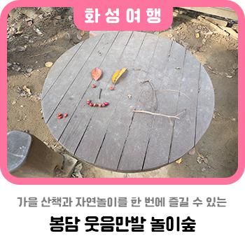 가을 산책과 자연놀이를 한 번에 즐길 수 있는 <봉담 웃음만발 놀이숲>
