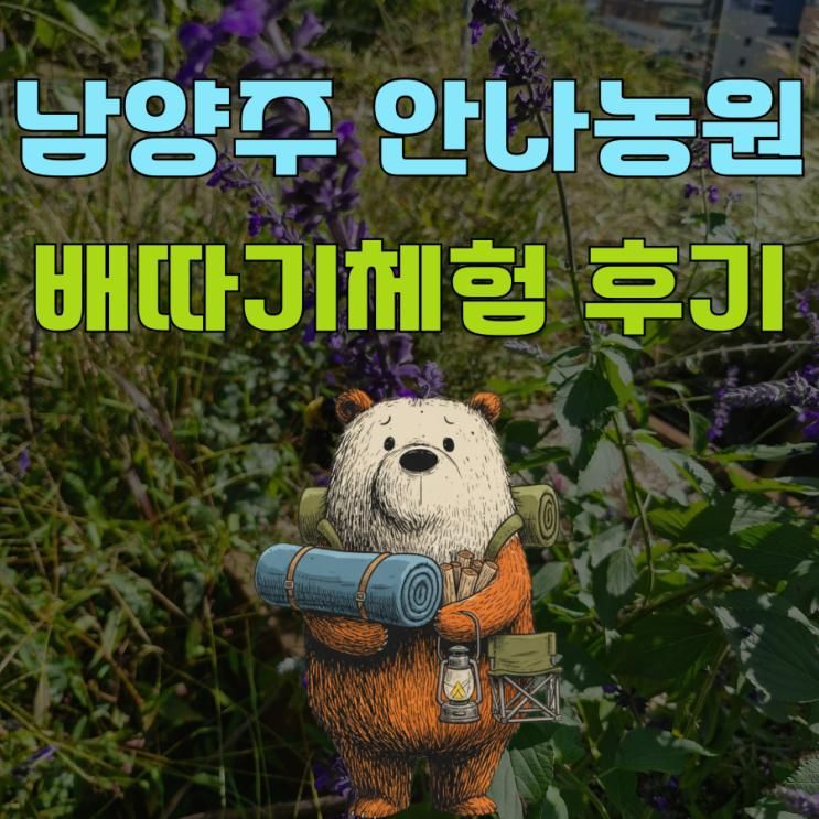 '안나농원' 배따기 체험 후기