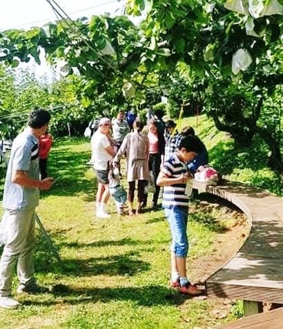 🍐 남양주 안나농원 배따 야지 체험기 – 심은 대로 거두는 삶, 자연이 주는 힐링 의 시간, 흙이 숨쉬고, 사람의 마음이 쉬는 곳