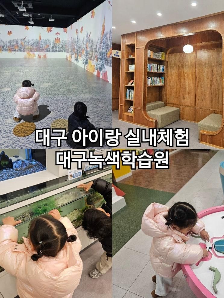 대구아이랑 (수성구노변동) 무료 실내체험 대구녹색학습원 추천