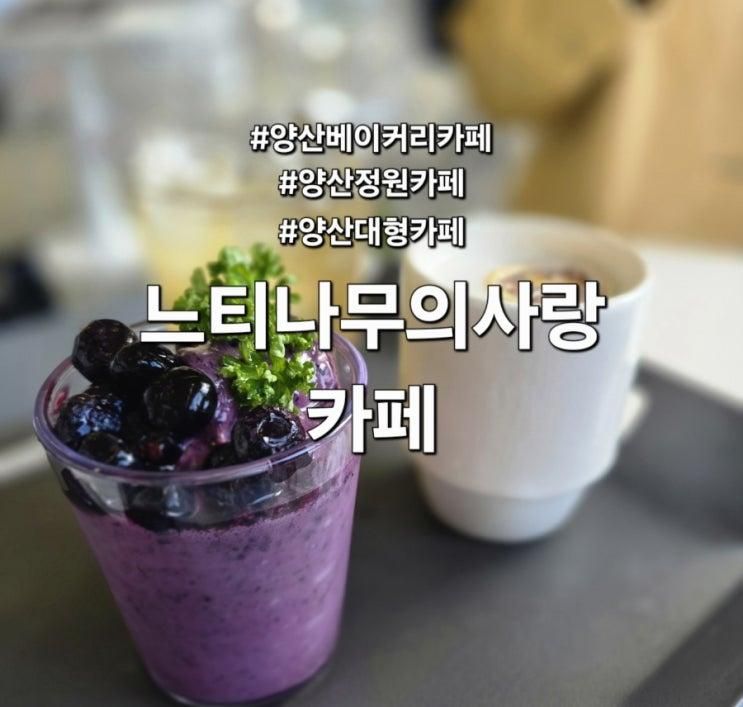 양산 대형카페 정원이 있는 느티나무의사랑 카페 내돈내산 후기 및 주차정보