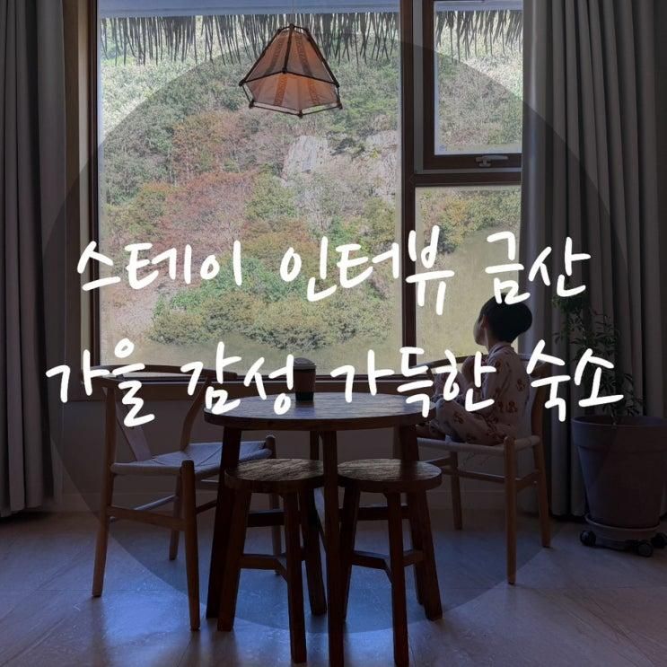 🍂 충남 금산 감성숙소 ‘스테이인터뷰 금산’ 이용후기