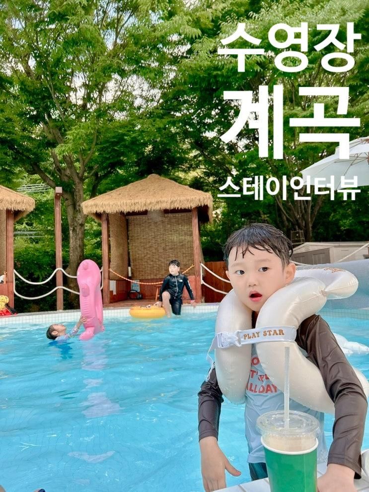 [포토맛집]자연 속에서 아이와 즐기는 여름 휴가, 금산 스테이인터뷰 자세한 후기(투숙객 아메리카노 무제한 제공/수영장/계곡)