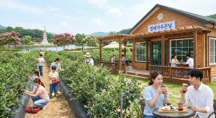 열매가푸른날 블루베리 농장 겸 농촌교육농장 연찬.