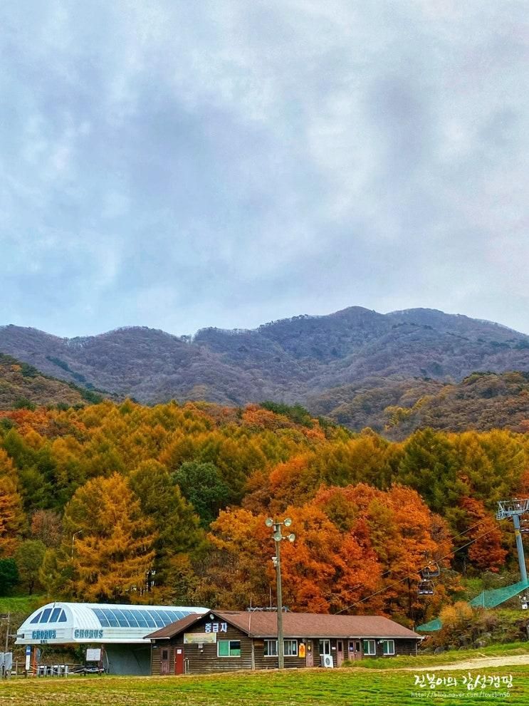 무주 반디랜드 덕유산 단풍구경까지 하고 왔어요.