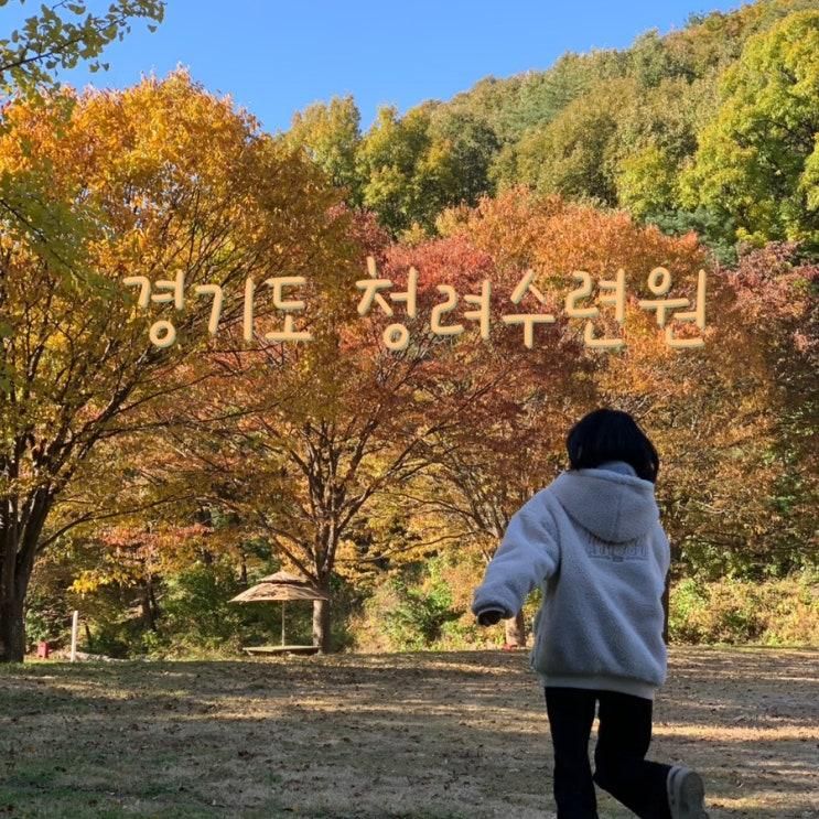 경기도 동탄 캠핑장 추천 당일 캠크닉 가능한 청려수련원