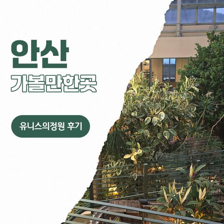 안산 가볼만한곳 유니스의정원 정원도슨트 카페 레스토랑 후기