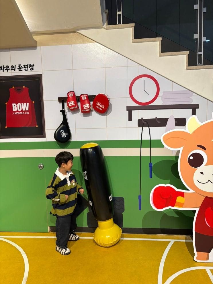 청도 소싸움미디어체험관 그리고 버던트카페