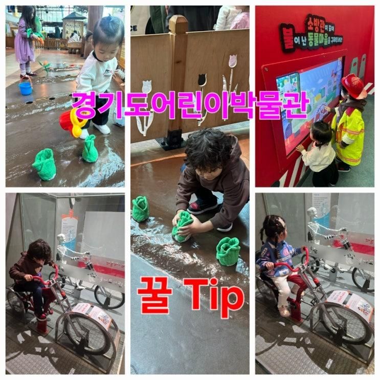 [용인] 경기도 어린이 박물관 12월 주말 무료 꿀Tip 시설 완벽 분석 유아부터 어린이까지 시간이 삭제되는 곳 6세 16개월 아이와 다녀온 후기