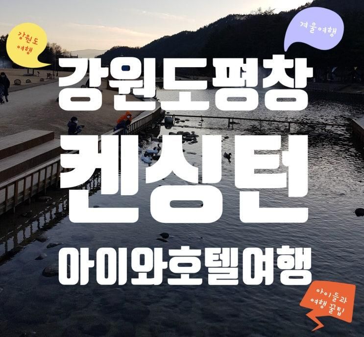 [평창 켄싱턴호텔] 겨울 가족여행 여기면 끝! 스키·수영장·동물구경까지 한 번에 해결 리워즈 할인혜택까지 총정리