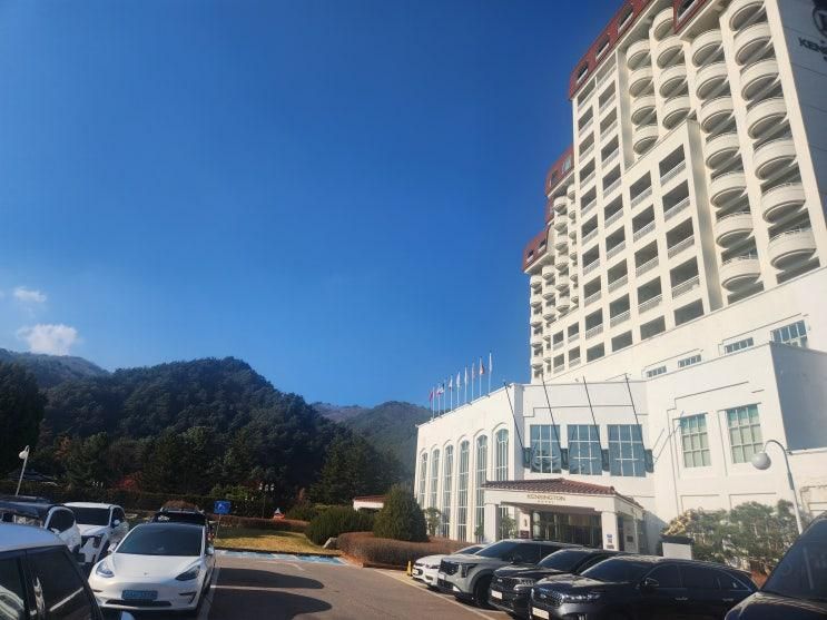 평창 켄싱턴 호텔 : 풀장+키즈카페+호텔까지