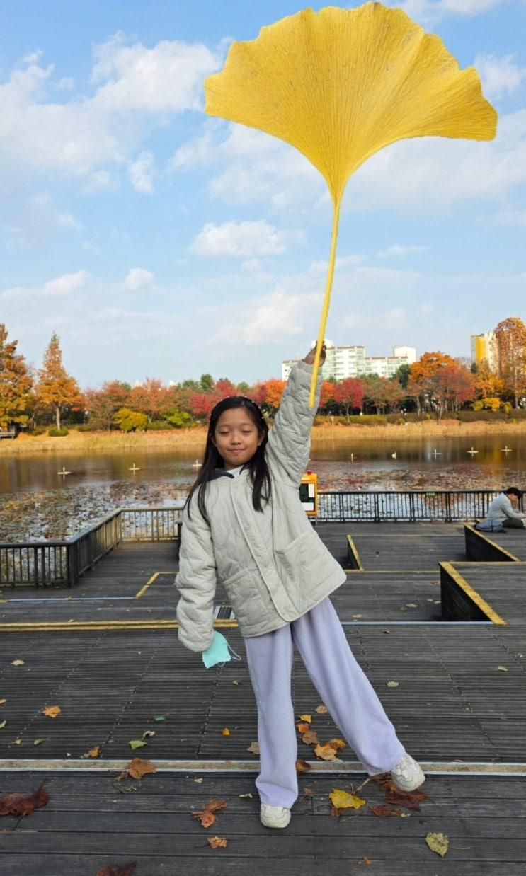 서서울호수공원 가을 감성 느끼기 좋은 공원 ( 너구리를 마주쳤다면?)