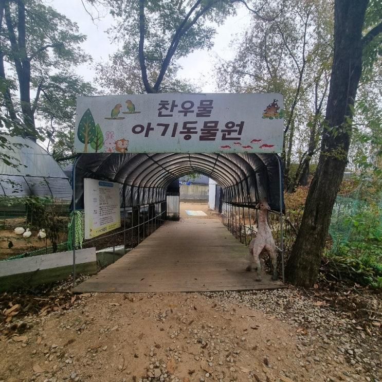 [일산동물원] 아이와 함께가기 좋은 곳 : 찬우물 체험 동물농장