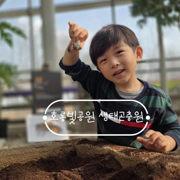 아산 가볼만한곳 필수 코스! 생태곤충원 & 그린타워 전망대 솔직 후기 (주차, 입장료,할인팁(다자녀할인))