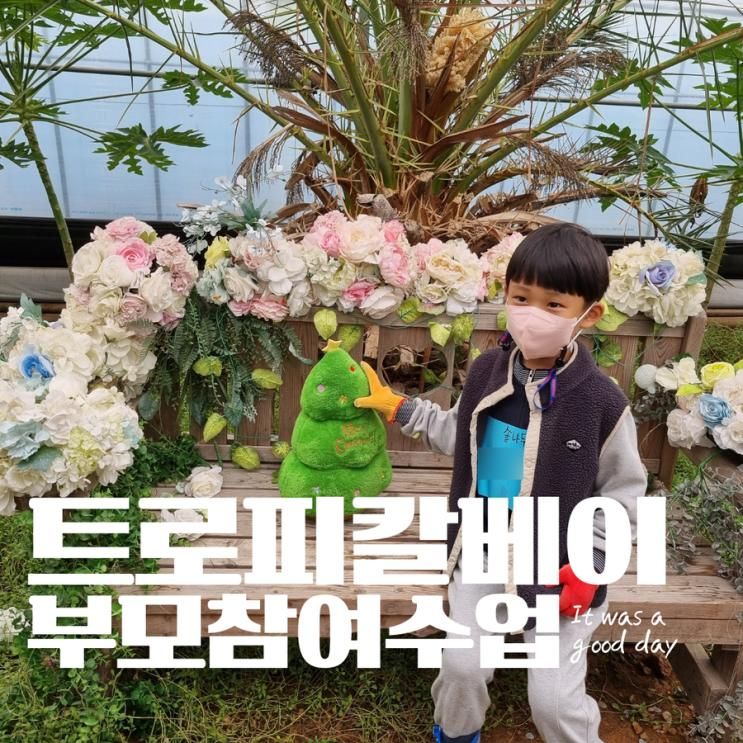 유치원 부모참여수업 트로피칼베이 파인애플따기 피자만들기 체험학습