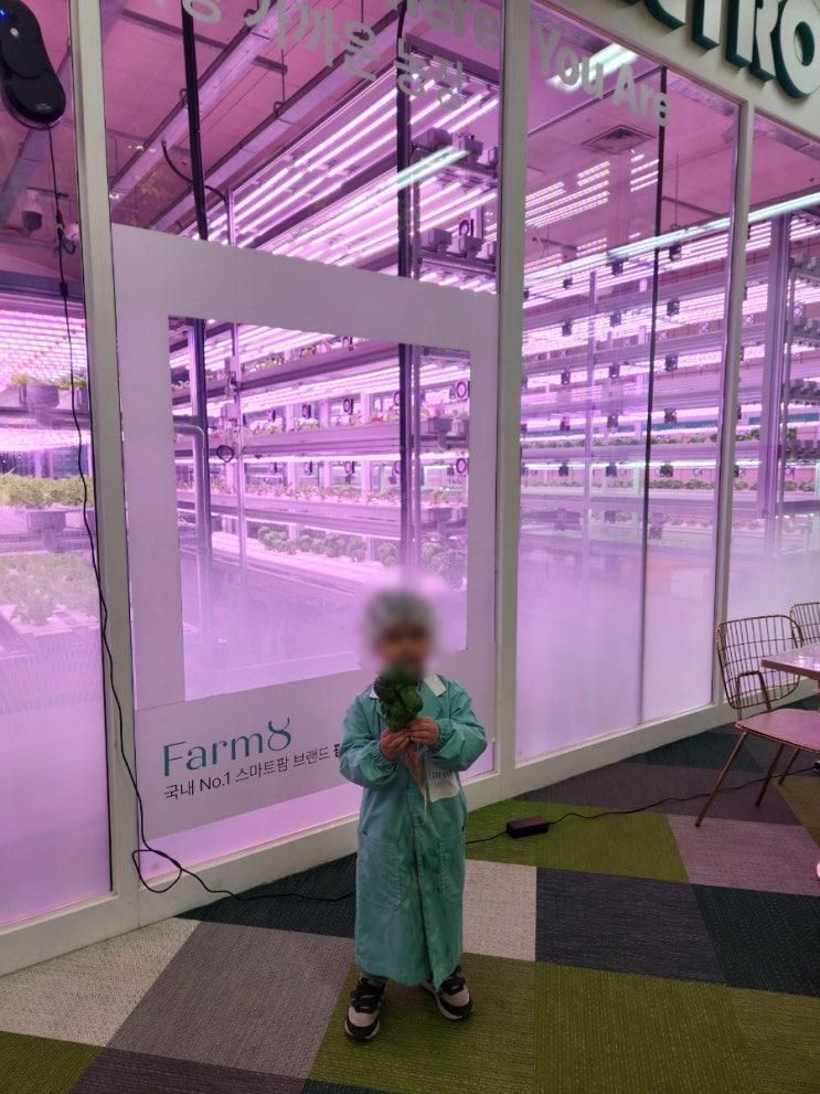 [240413] 아이랑 도시농장 체험 상도 '팜아카데미'(farm8 아카데미)