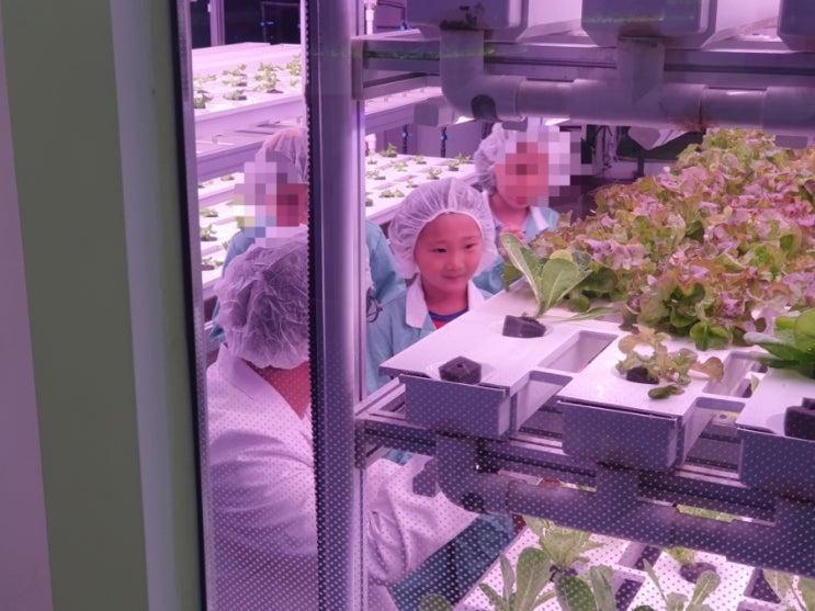 상도역 Farm8 팜아카데미 스마트팜 체험하고왔어요~