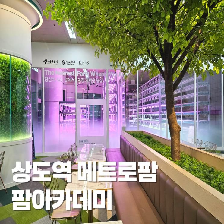 상도역 메트로팜 팜아카데미 솔직 후기