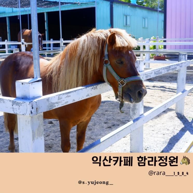 [전북] 익산카페 함라정원(동물원아님🙊)