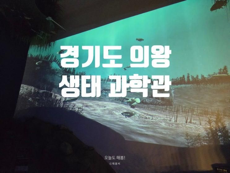 [경기도 아이와 가볼만한곳 갈만한곳] 의왕 왕송호수 박물관(조류생태과학관)