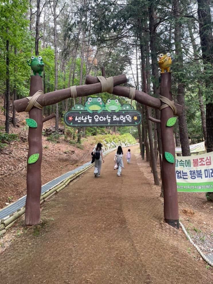 선낲숲 공원 유아놀이터 | 동2  숲놀이터