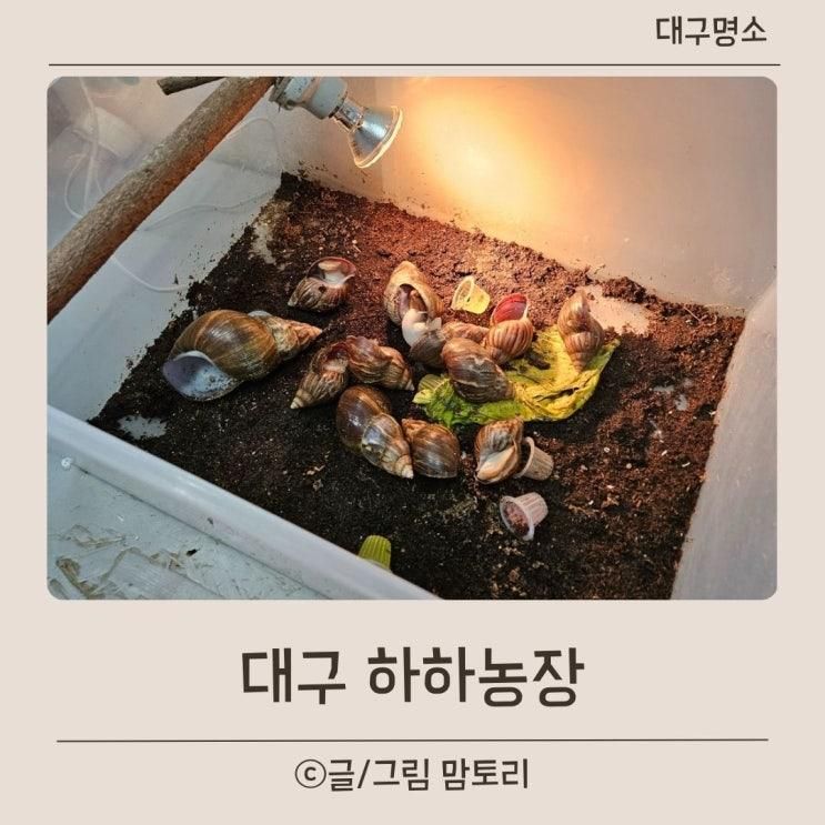 대구 하하농장 아이와 즐기는 겨울 실내 동물체험