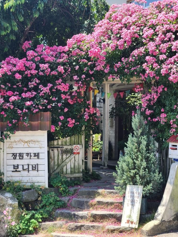 공주시 반포면 [카페보니비]