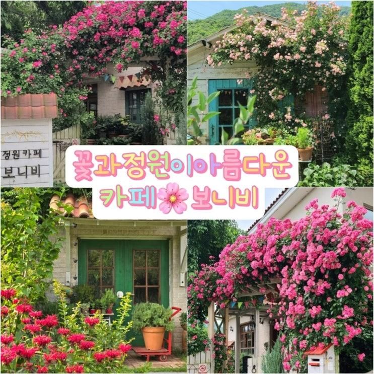 꽃과 정원이 예쁜 공주 카페 [보니비]