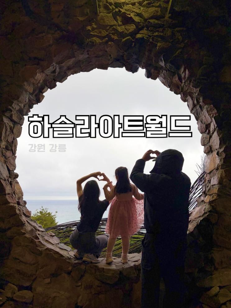 강릉 아이랑 실내 놀거리 추천 모든 곳이 인생샷 가능한 하슬라아트월드 (6살아이랑 다녀온 후기)