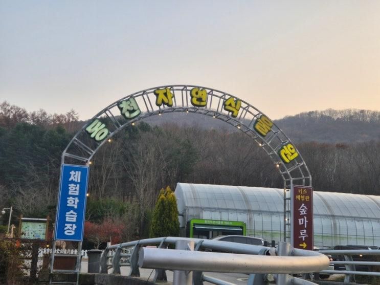 [용인 아이랑 가볼만한곳] 동천 자연식물원