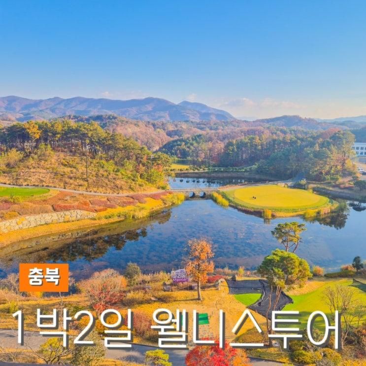 충북여행 영동 1박2일 웰니스투어 아이와 추천 코스