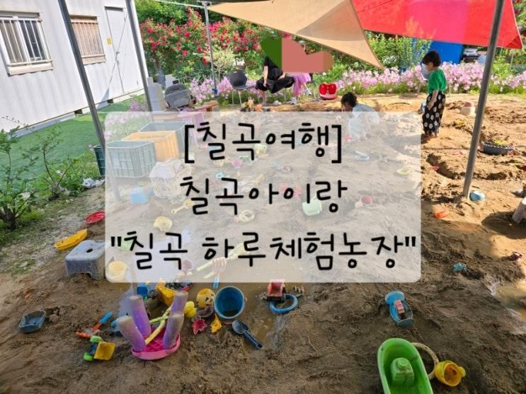 [칠곡여행] 칠곡아이랑_칠곡하루체험농장_칠곡키즈카페