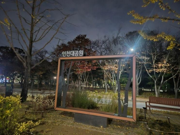 인천대공원 늦가을 산책 그리고 놓치면 후회할 동문 쪽 단풍 비경