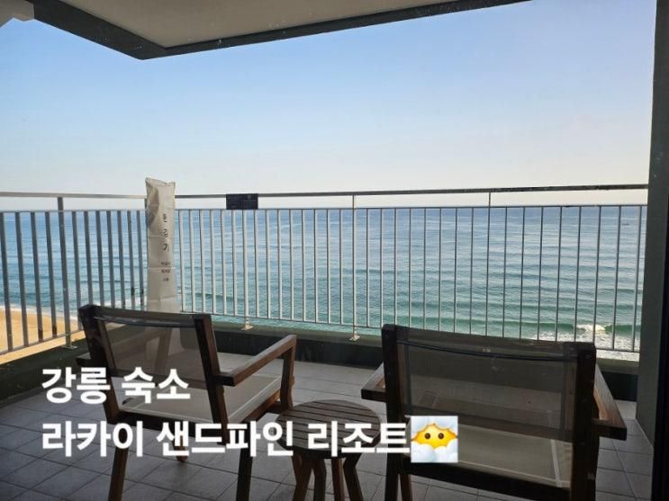 강릉 라카이샌드파인 | 트리오 Nuovo 오션뷰 내돈내산 후기