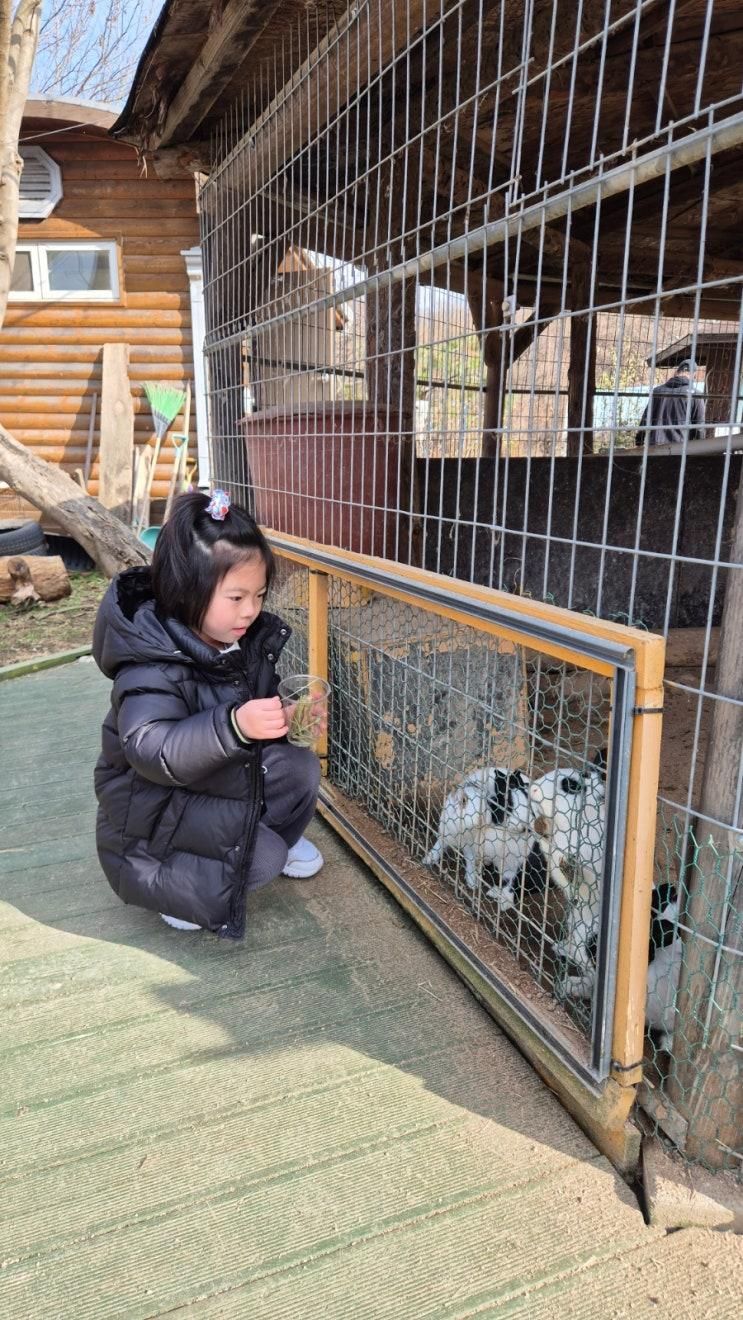 [춘천]해피초원목장