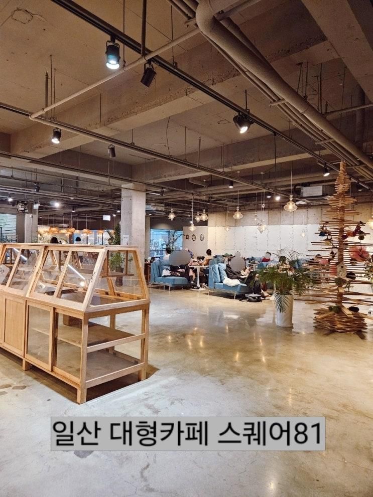 카공하기 좋은 일산 대형카페 스퀘어81 추천
