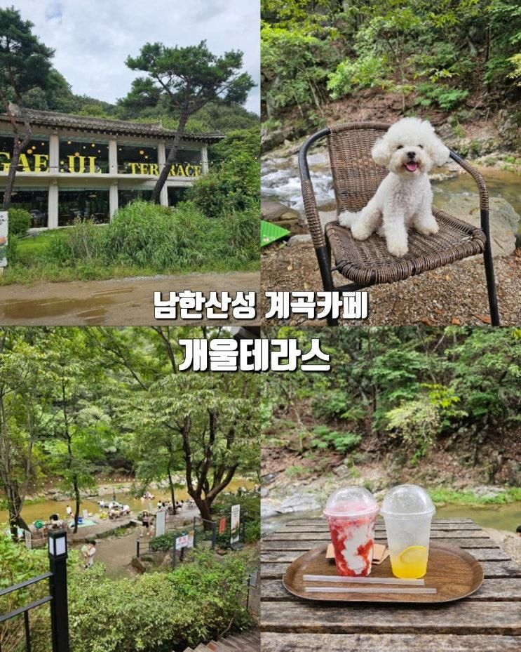 경기도 광주 남한산성 애견동반 계곡카페 | 개울테라스 주말 방문 후기 & 꿀팁
