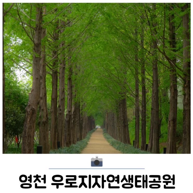 대구 근교 나들이 드라이브 가볼만한곳 우로지자연생태공원
