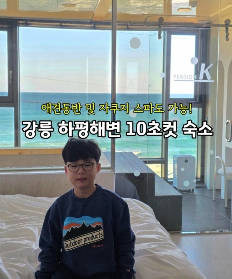 강릉오션뷰펜션 케이풀빌라, 신상 애견동반 스파 펜션