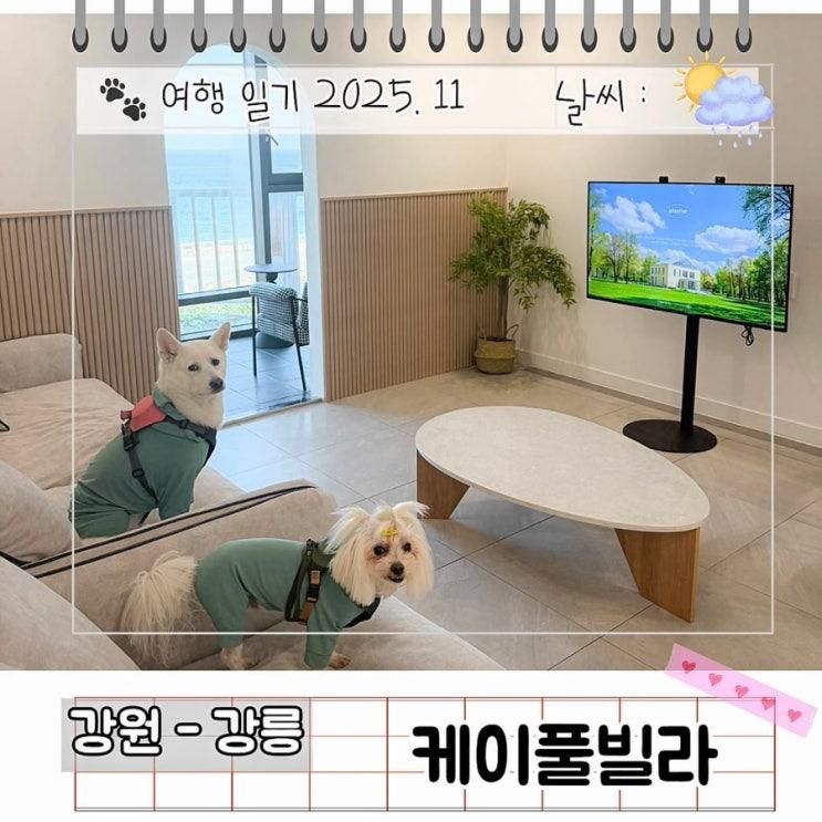 7만 원대 신상?! 강릉 오션뷰 감성 숙소 케이풀빌라 애견 동반 펜션