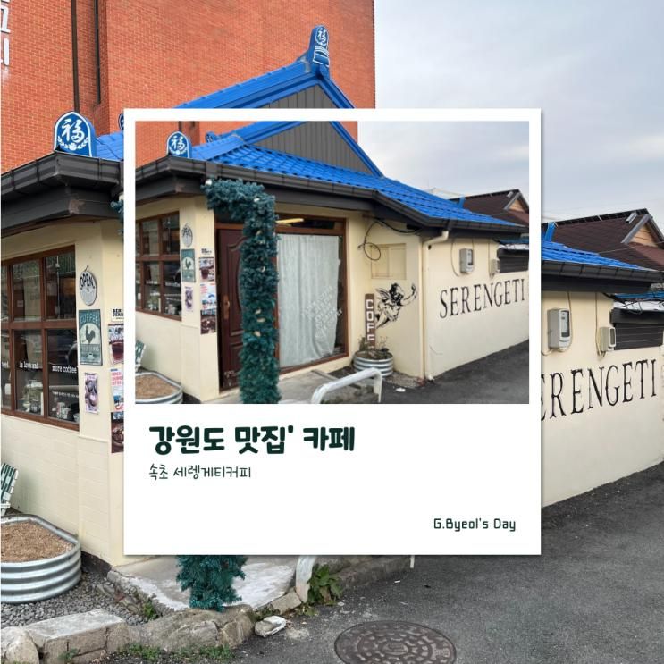 강원도 속초 아이랑 카페 추천; 라떼 휘낭시에 맛집 분위기 좋은 세렝게티커피