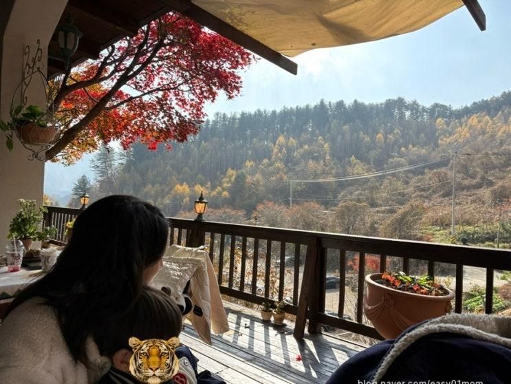 [쟈니와 함께-25.11.08-09] 가평 나들이